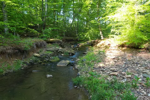0 Webster Rd, Glade Hill, VA 24092 photo 24