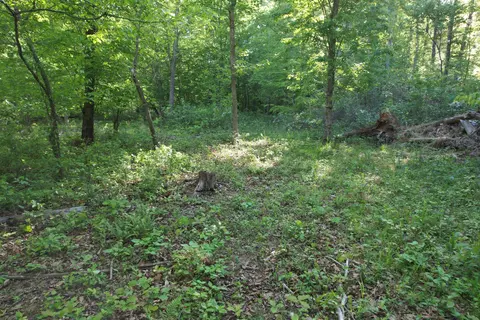 0 Webster Rd, Glade Hill, VA 24092 photo 39