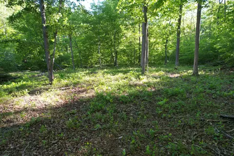 0 Webster Rd, Glade Hill, VA 24092 photo 35