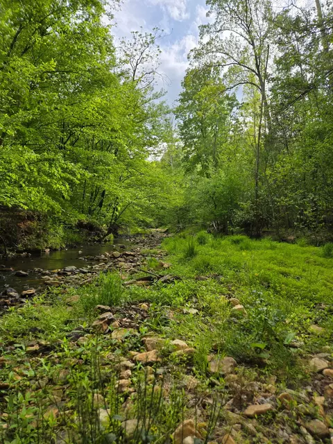 0 Webster Rd, Glade Hill, VA 24092 photo 7