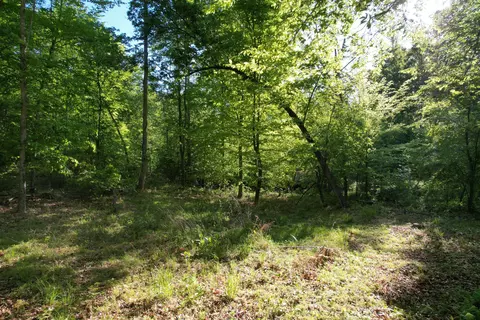 0 Webster Rd, Glade Hill, VA 24092 photo 50