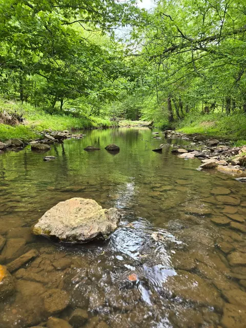 0 Webster Rd, Glade Hill, VA 24092