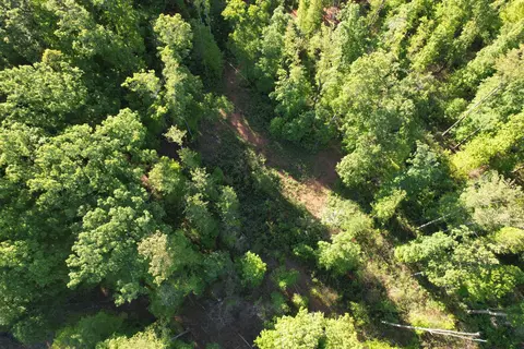 0 Webster Rd, Glade Hill, VA 24092 photo 19