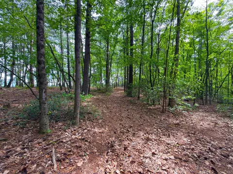 183 Pernello Rd, Ferrum, VA 24088 photo 17