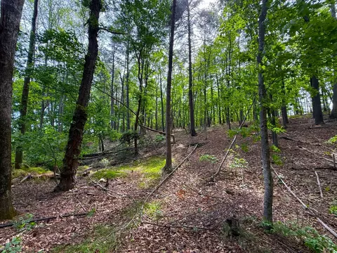 183 Pernello Rd, Ferrum, VA 24088 photo 19