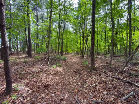 183 Pernello Rd, Ferrum, VA 24088 photo 18