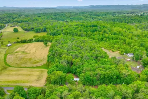 183 Pernello Rd, Ferrum, VA 24088