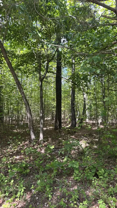 Tract 1 Foxfire Ln, Bedford, VA 24523