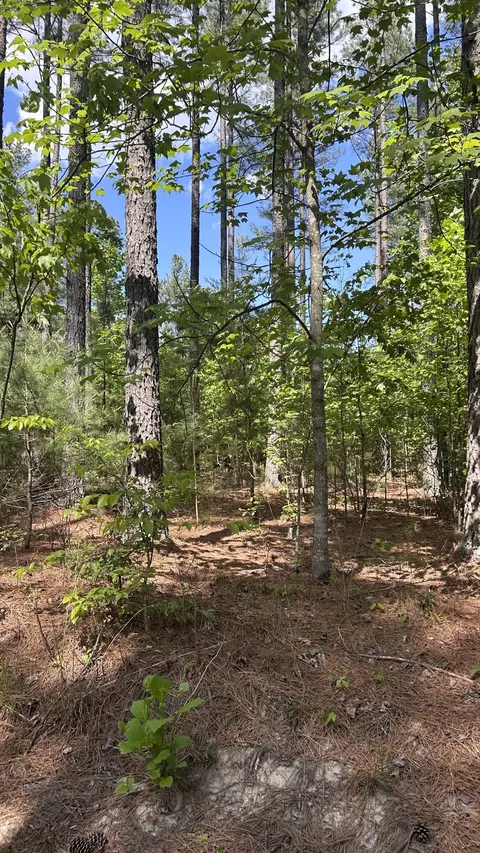 Tract 2 Foxfire Ln, Bedford, VA 24523