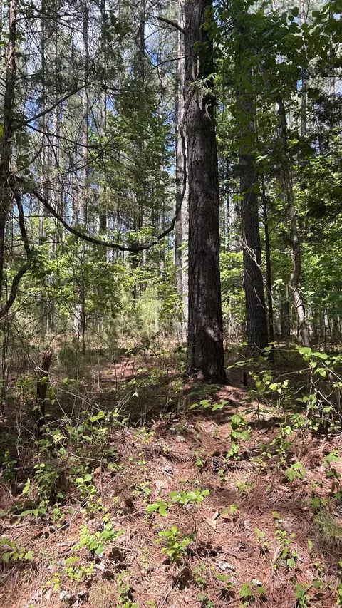 Tract 3 Foxfire Ln, Bedford, VA 24523