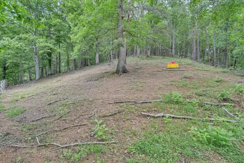 Exterior - 811 Arcadia Rd, Buchanan, VA 24066 photo 10 of 11