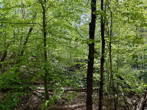 0 River Ridge Ln, Axton, VA 24054 photo 20