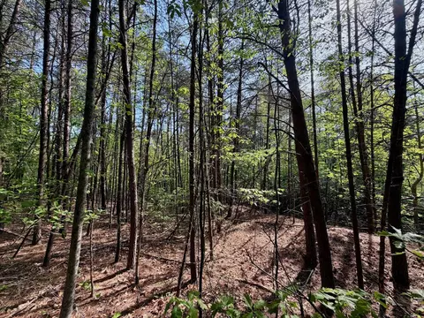0 River Ridge Ln, Axton, VA 24054 photo 15