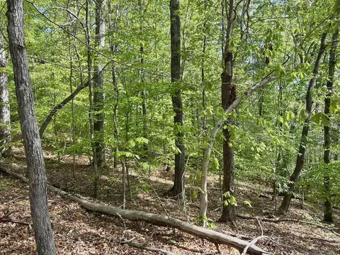 0 River Ridge Ln, Axton, VA 24054 photo 34