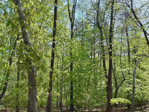 0 River Ridge Ln, Axton, VA 24054 photo 30