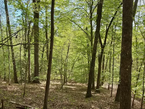 0 River Ridge Ln, Axton, VA 24054 photo 38