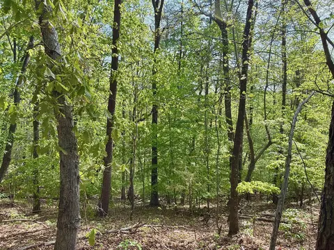 0 River Ridge Ln, Axton, VA 24054 photo 31