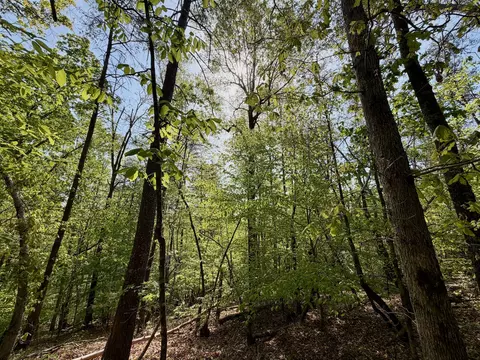 0 River Ridge Ln, Axton, VA 24054 photo 22