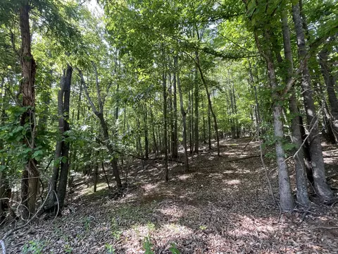 00 Nemmo Rd, Vinton, VA 24179 photo 6