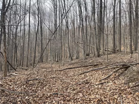 00 Nemmo Rd, Vinton, VA 24179