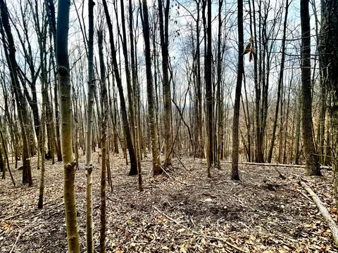 00 Nemmo Rd, Vinton, VA 24179 photo 5