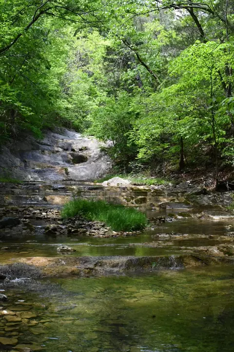 000 E Indian Rock Rd E, Buchanan, VA 24066