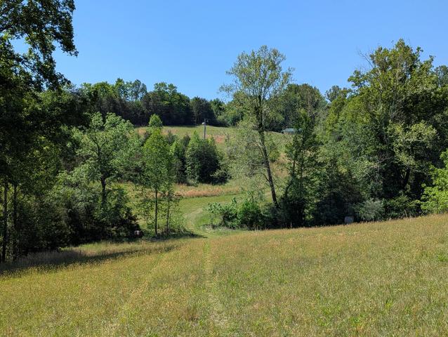 Tract A Brooks Mill Rd, Glade Hill, VA 24092