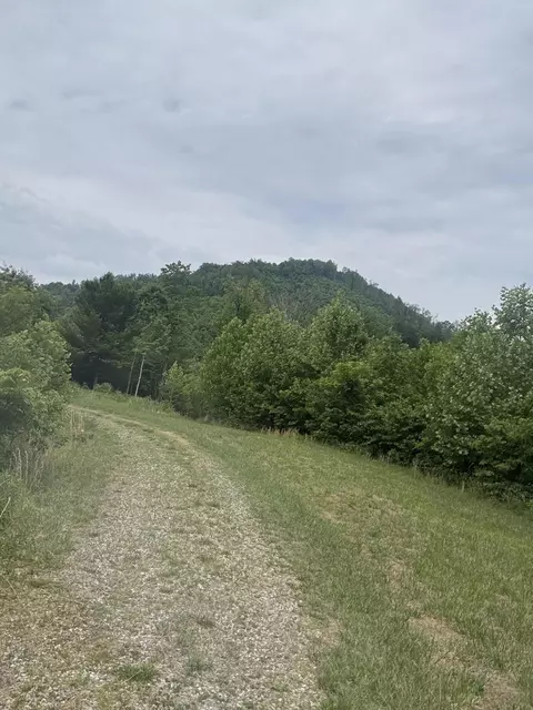 1107 Endicott Hill Rd, Ferrum, VA 24088 photo 3