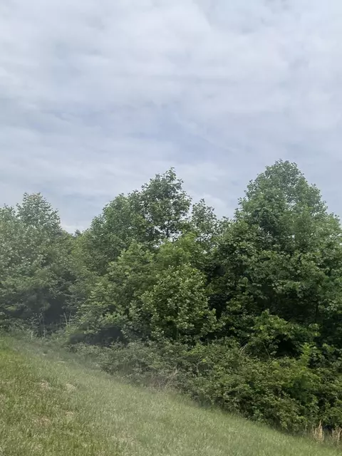 1107 Endicott Hill Rd, Ferrum, VA 24088 photo 4