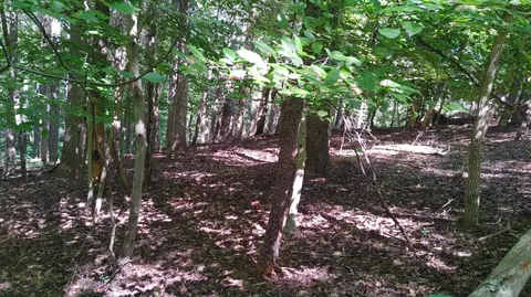 lot53 Ridgeway Ct, Moneta, VA 24121
