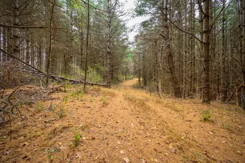 595 Wild Cherry Rd NE, Pilot, VA 24138 photo 8