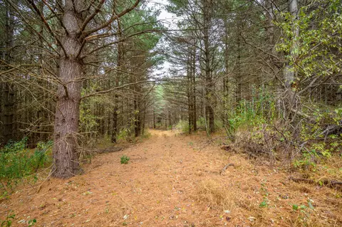 595 Wild Cherry Rd NE, Pilot, VA 24138 photo 5