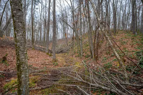 621 Wild Cherry Rd NE, Pilot, VA 24138 photo 5