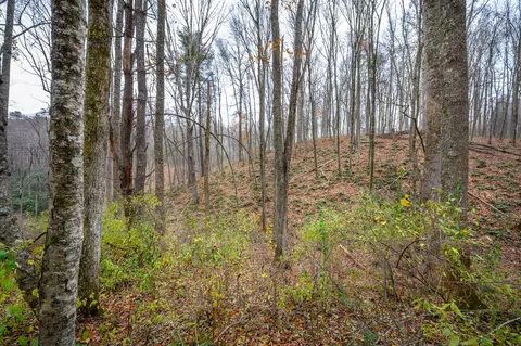621 Wild Cherry Rd NE, Pilot, VA 24138 photo 3