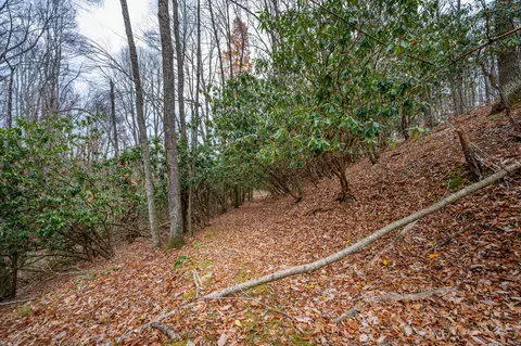 621 Wild Cherry Rd NE, Pilot, VA 24138 photo 8