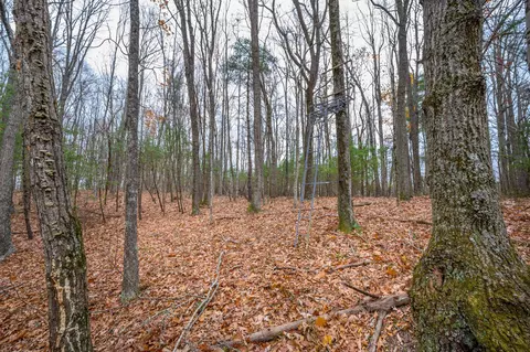 621 Wild Cherry Rd NE, Pilot, VA 24138 photo 13