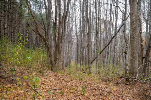 621 Wild Cherry Rd NE, Pilot, VA 24138 photo 2