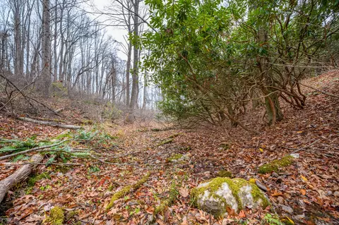 621 Wild Cherry Rd NE, Pilot, VA 24138 photo 7