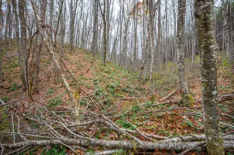 621 Wild Cherry Rd NE, Pilot, VA 24138 photo 6