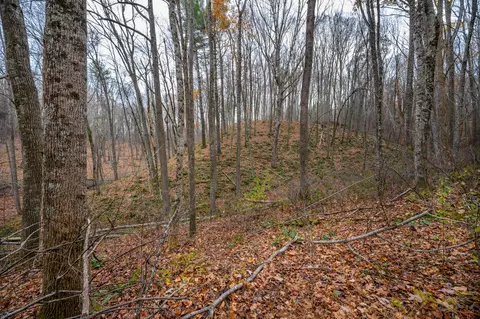 621 Wild Cherry Rd NE, Pilot, VA 24138 photo 4