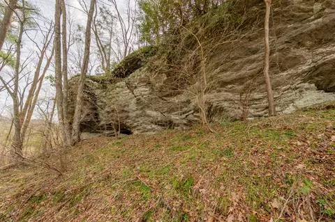 Other - 183 Pine Mountain Rd NE, Floyd, VA 24091 photo 13 of 19