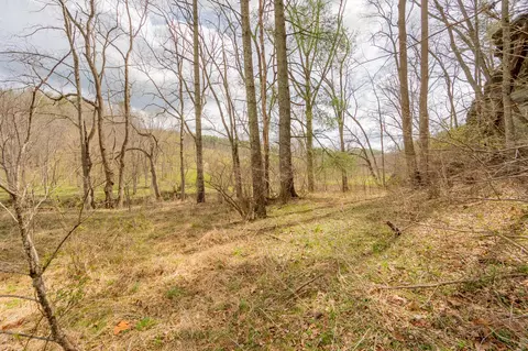 Exterior - 183 Pine Mountain Rd NE, Floyd, VA 24091 photo 8 of 12