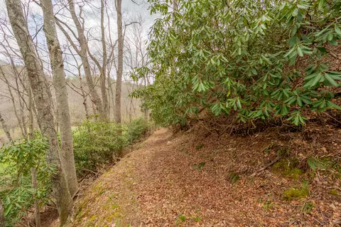 Other - 183 Pine Mountain Rd NE, Floyd, VA 24091 photo 19 of 19