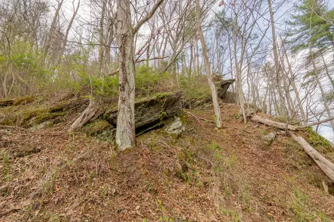 Other - 183 Pine Mountain Rd NE, Floyd, VA 24091 photo 16 of 19