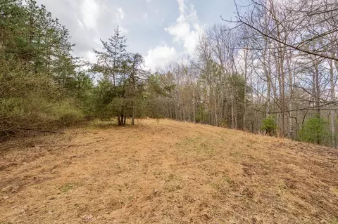 Exterior - 183 Pine Mountain Rd NE, Floyd, VA 24091 photo 10 of 12