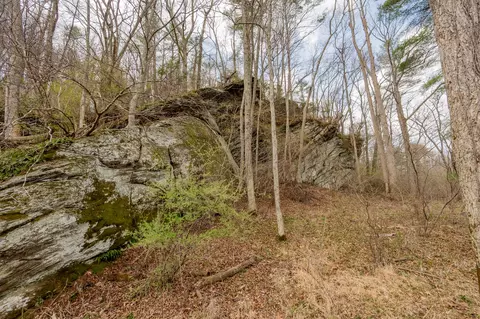 Other - 183 Pine Mountain Rd NE, Floyd, VA 24091 photo 18 of 19