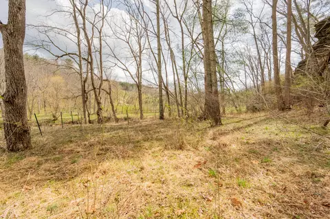 Exterior - 183 Pine Mountain Rd NE, Floyd, VA 24091 photo 7 of 12