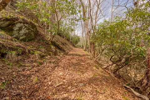 Other - 183 Pine Mountain Rd NE, Floyd, VA 24091 photo 12 of 19