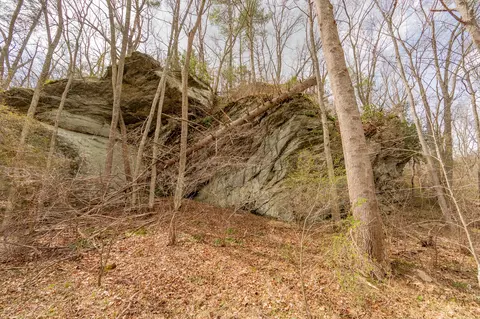 Other - 183 Pine Mountain Rd NE, Floyd, VA 24091 photo 14 of 19