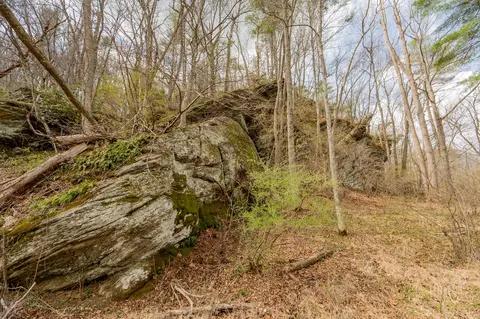 Other - 183 Pine Mountain Rd NE, Floyd, VA 24091 photo 15 of 19